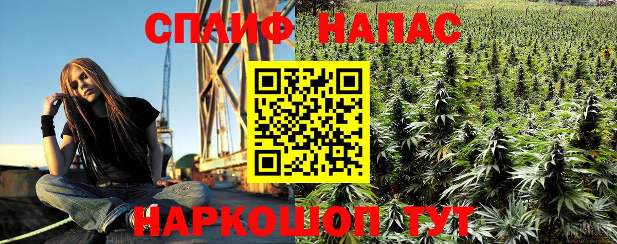 Каннабис план Карасук
